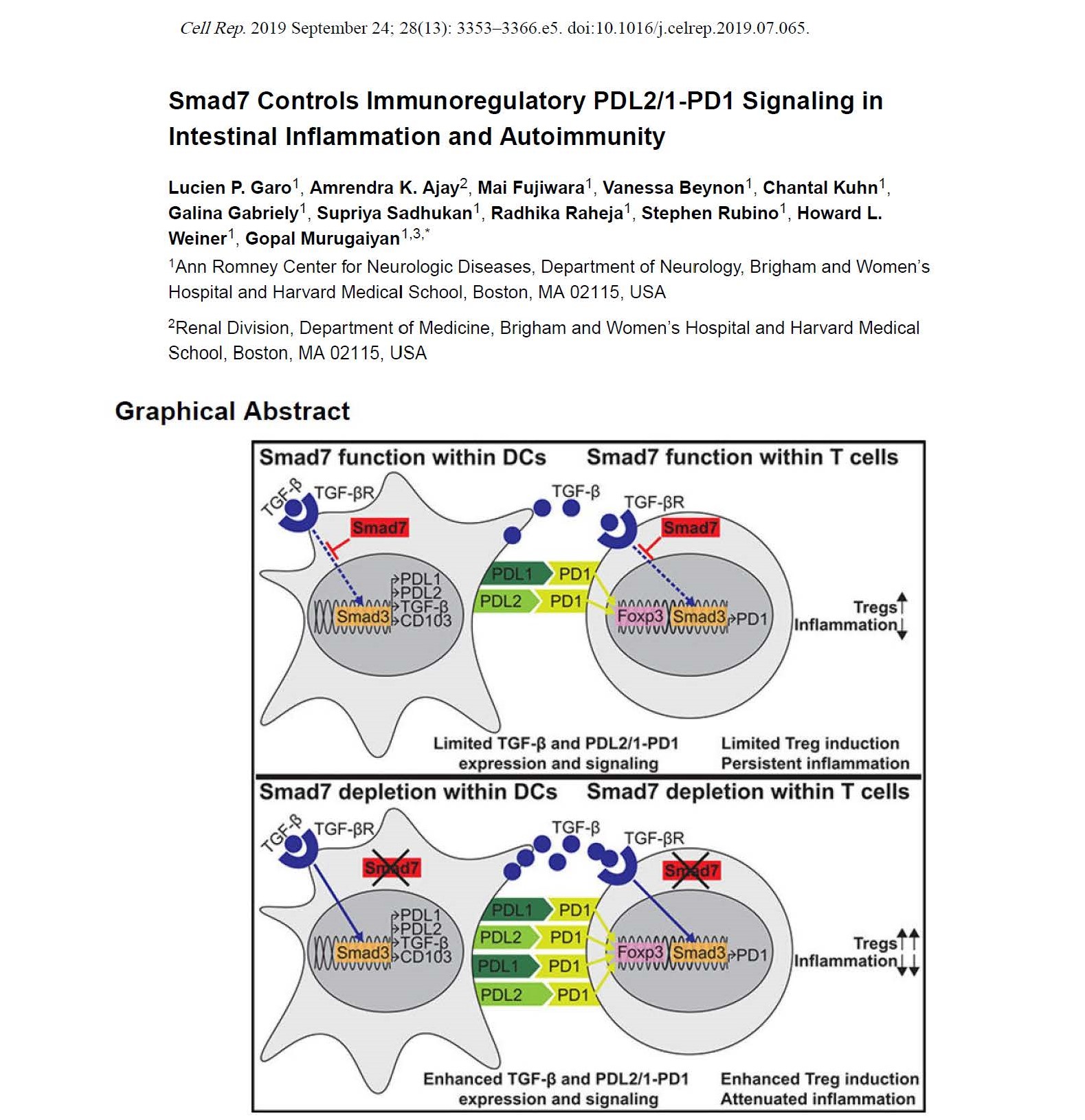 Smad7 Controls Immunoregulatory PDL2/1-PD1 Signaling in  Intestinal Inflammation and Autoimmunity